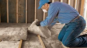 Best Basement Insulation  in Temple Terrace, FL