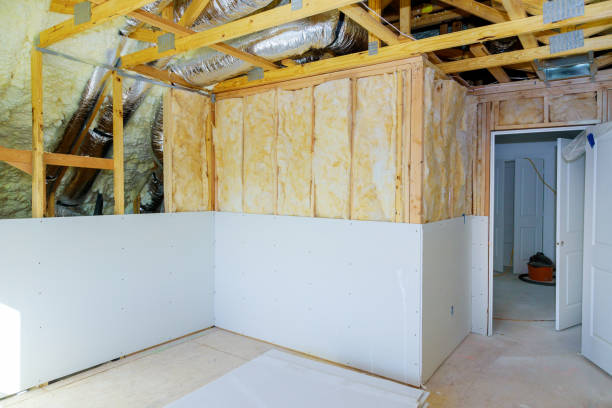 Best Wall Insulation Installation  in Temple Terrace, FL