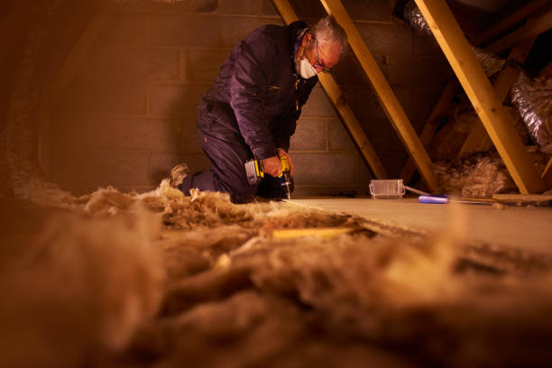 Best Attic Insulation Installation  in Temple Terrace, FL